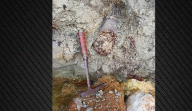 Λαγκαδάς: Ερευνητές ανακάλυψαν απολιθωμένο χαυλιόδοντα από Μαμούθ του Νότου (φωτο)