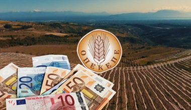 Προφυλακίστηκε λογιστής για παράνομες επιδοτήσεις από τον ΟΠΕΚΕΠΕ στα Γιαννιτσά