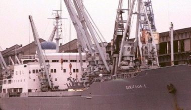 Ο Έλληνας πλοίαρχος που πέταξε 11 λαθρεπιβάτες σε θάλασσα με καρχαρίες