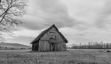 Οι εφιάλτες που αποκάλυψαν ένα έγκλημα: Η τραγική ιστορία του Κόκκινου Αχυρώνα