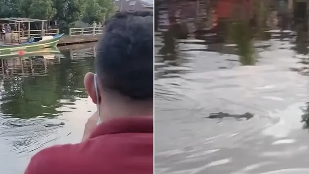 Φρικτό τέλος για έναν 10χρονο στην Ινδονησία: Κροκόδειλος τον κατασπάραξε και μετέφερε τη σορό του (βίντεο)