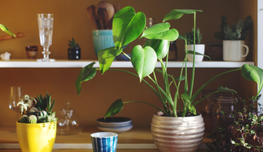 Αυτά είναι τα οκτώ πράγματα που φέρνουν κακή τύχη μέσα στο σπίτι