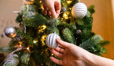 Για ποιο λόγο βάζουμε μπάλες στο χριστουγεννιάτικο δέντρο;