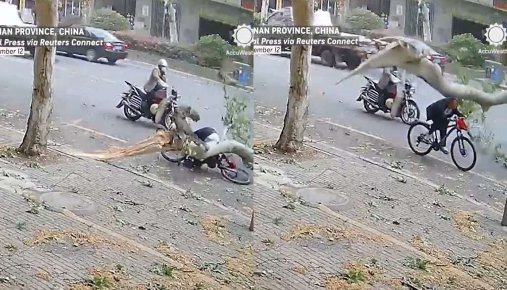 Βίντεο: Η στιγμή που κλαδί δέντρου σπάει και καταπλακώνει ποδηλάτη στην Κίνα