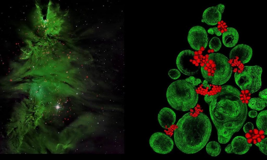 Οι ομοιότητες ανάμεσα στο απέραντο και το απειροελάχιστο μέσα από το «χριστουγεννιάτικο δέντρο» του σύμπαντος