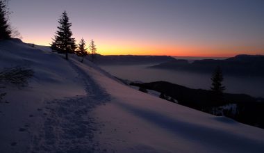 Χειμερινό ηλιοστάσιο: Σήμερα η μεγαλύτερη νύχτα της χρονιάς – Τι είναι η ισημερία