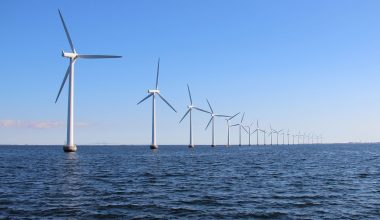 ΗΠΑ: Αναστέλλονται οι άδειες κατασκευής πέντε θαλάσσιων αιολικών πάρκων