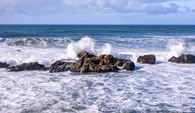 Βίντεο: Η στιγμή που κύμα «καταπίνει» τουρίστρια στην Αίγυπτο την ώρα που έβγαζε φωτογραφία στα βράχια