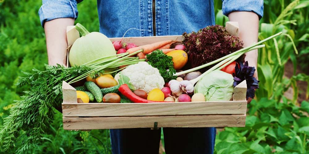 Έρχονται εξελίξεις και με το σκάνδαλο των βιολογικών προϊόντων: Πάλι εμπλέκεται ο ΟΠΕΚΕΠΕ