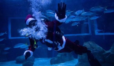 Βίντεο: Από τη Βραζιλία μέχρι την Κύπρο οι Άγιοι Βασίληδες φόρεσαν… βατραχοπέδιλα