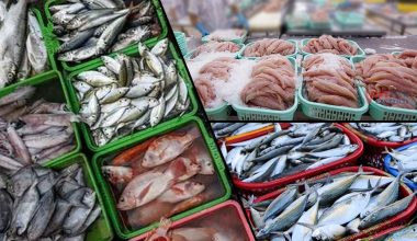 Euractive: «Ρωσικά θαλασσινά εξακολουθούν να πωλούνται στην ΕΕ παρά τις κυρώσεις»