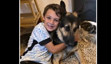 Άγριο έγκλημα στην Πορτογαλία: 13χρονος μαχαιρώθηκε μέχρι θανάτου από τον πρώην σύντροφο της μητέρας του