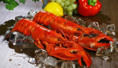 Η Βρετανία απαγορεύει το βράσιμο ζωντανών αστακών και καβουριών