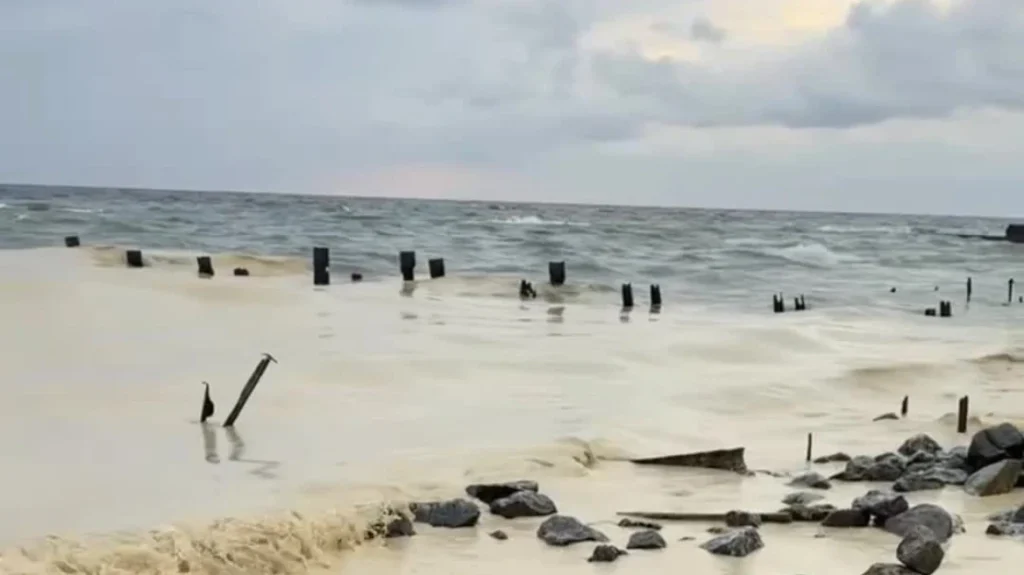 Ρύπανση από ηλιέλαιο στις ακτές της Μαύρης Θάλασσας μετά τα ρωσικά πλήγματα στο λιμάνι της Οδησσού (βίντεο)