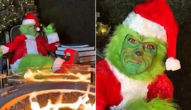 Η Σελίν Ντιόν μεταμορφώθηκε σε «Γκριντς» και τραγούδησε το «All by Myself»: «Καλά Χριστούγεννα και Καλή Χρονιά»