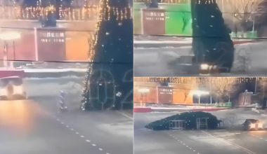 Βίντεο: Οδηγός έκανε επικίνδυνους ελιγμούς στο Καζακστάν & γκρέμισε το χριστουγεννιάτικο δέντρο κεντρικής πλατείας