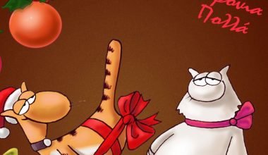 To σκίτσο του Αρκά με το οποίο εύχεται «χρόνια πολλά» (φωτο)