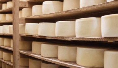 Taste Atlas: Αυτό είναι το ελληνικό τυρί που αναδείχθηκε ως το καλύτερο του κόσμου