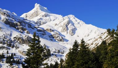 Βαρδούσια Όρη:  Χωρίς τις αισθήσεις τους  οι τέσσερις ορειβάτες που αγνοούνταν – Καταπλακώθηκαν από χιονοστιβάδα!