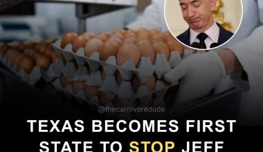 Το Τέξας απαγόρευσε τα συνθετικά αυγά του Τζεφ Μπέζος