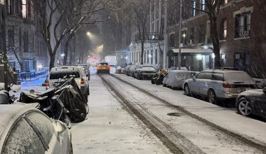 Σφοδρές χιονοπτώσεις πλήττουν τη Νέα Υόρκη: Περισσότερες από 1.600 ακυρώσεις πτήσεων (βίντεο)