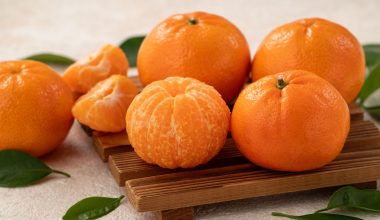 Δείτε πόσα μανταρίνια πρέπει να τρώτε την ημέρα για να καλύψετε τις ανάγκες σας σε βιταμίνη C
