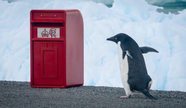 Μεγάλη εξέλιξη στα βρετανικά ταχυδρομεία – Εγκατέστησαν γραμματοκιβώτιο στην Ανταρκτική