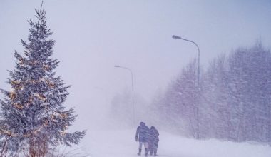 Η καταιγίδα Γιοχάνες «σαρώνει» Σουηδία και Φινλανδία: Τουλάχιστον τρεις νεκροί
