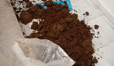 Πτολεμαΐδα: Αγρότες πέταξαν κοπριά έξω από το γραφείο του βουλευτή της ΝΔ Σ.Κωνσταντινίδη – Δείτε βίντεο