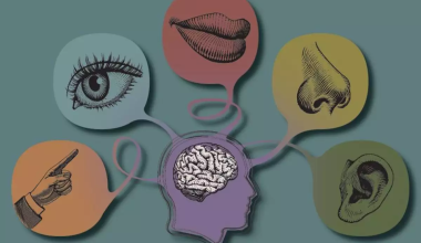 Ξεχάστε όσα ξέρατε: Επιστήμονας υποστηρίζει ότι οι ανθρώπινες αισθήσεις είναι από 22 έως και 33!