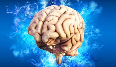 Η όσφρηση ενώ κοιμάστε μπορεί να ενισχύσει τη μνήμη σας κατά τη διάρκεια της νύχτας!