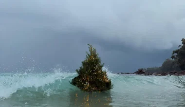 Viral το βίντεο με χριστουγεννιάτικο δέντρο να επιπλέει στη θάλασσα: Η άγνωστη ιστορία (βίντεο)