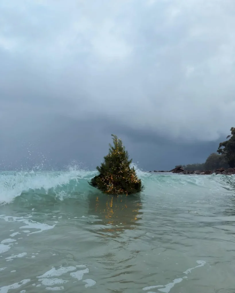 Viral το βίντεο με χριστουγεννιάτικο δέντρο να επιπλέει στη θάλασσα: Η άγνωστη ιστορία (βίντεο)