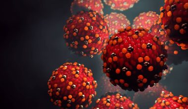 Εντοπίστηκαν κρούσματα ιλαράς σε δύο μεγάλα αεροδρόμια των ΗΠΑ – Τα συμπτώματα της πιο μεταδοτικής ασθένειας