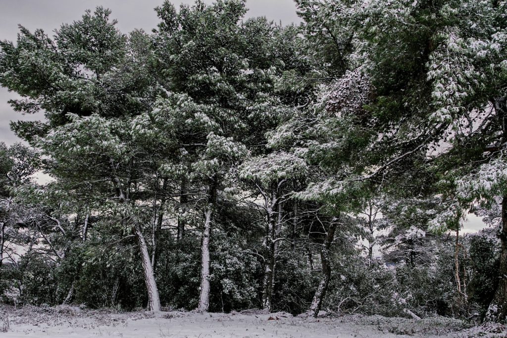 Ρωσία: H στιγμή που άνδρας «συγκρούεται» με παιδί την ώρα που κατεβαίνει με αυτοσχέδιο έλκηθρο χιονισμένο δρόμο