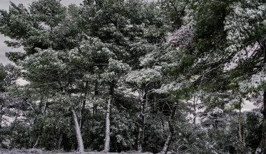 Ρωσία: H στιγμή που άνδρας «συγκρούεται» με παιδί την ώρα που κατεβαίνει με αυτοσχέδιο έλκηθρο χιονισμένο δρόμο