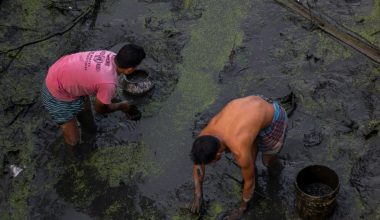 Ινδία: Πόλη με τον τίτλο ότι είχε το πιο «καθαρό νερό» μετράει νεκρούς από διάρροια
