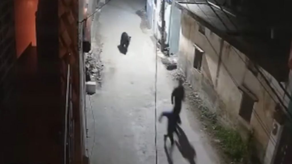 Άγρια αρκούδα παίρνει στο κυνήγι δύο άνδρες σε επαρχία της Ινδίας (βίντεο)