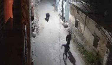 Άγρια αρκούδα παίρνει στο κυνήγι δύο άνδρες σε επαρχία της Ινδίας (βίντεο)