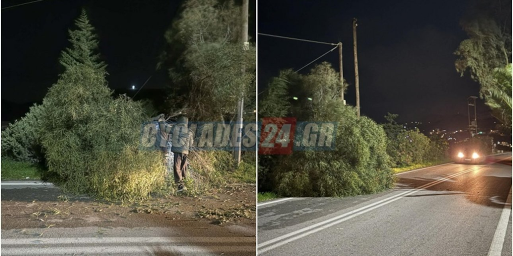 Σύρος: Δέντρο κατέρρευσε και προσγειώθηκε πάνω σε οχήματα εξαιτίας των σφοδρών ανέμων