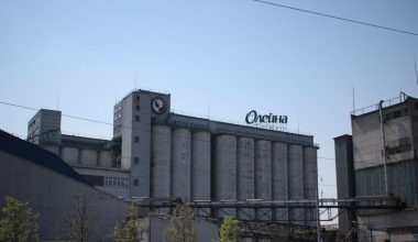 Ρωσικά drones έπληξαν αμερικανικό εργοστάσιο παραγωγής ηλιέλαιου στο Ντνίπρο (βίντεο)