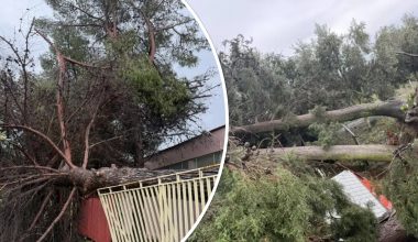 Ανεμοστρόβιλος «σάρωσε» το Μεσολόγγι: Ζημιές σε σπίτια και επιχειρήσεις – Ξεριζώθηκαν δέντρα (φώτο)