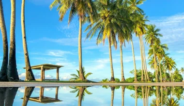 Ναουρού: Aυτή είναι η μικρότερη νησιωτική χώρα στον κόσμο – Πού βρίσκεται