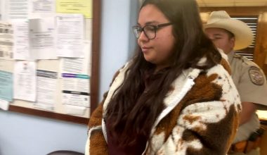 Τέξας: Καθηγήτρια βίασε 14χρονο στο αυτοκίνητό της ενώ στο πίσω κάθισμα κάθονταν άλλοι δύο μαθητές της (βίντεο)