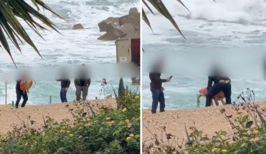 Κύπρος: Συνελήφθησαν τέσσερις υπάλληλοι που κλωτσούσαν και πετούσαν το κουφάρι θαλάσσιας χελώνας (βίντεο)