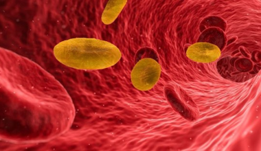 Rh null: Μόλις 50 άνθρωποι στον κόσμο διαθέτουν το εξαιρετικά σπάνιο «χρυσό» αίμα!