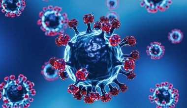 Επιστήμονες προειδοποιούν ότι η «ασθένεια Χ» θα εμφανιστεί μέσα στο 2026