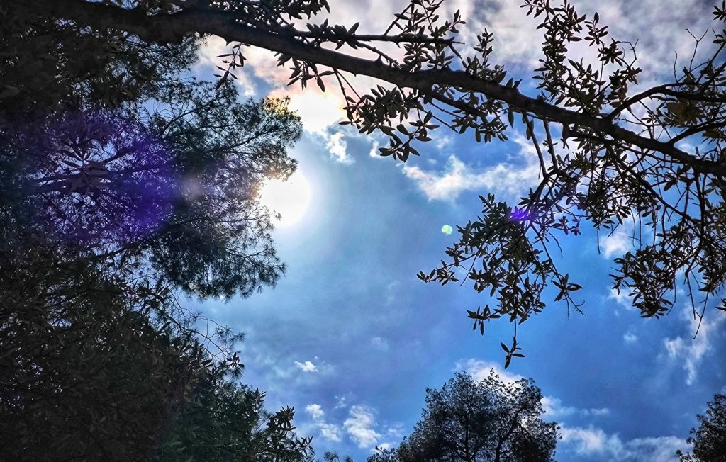 Αίθριος ο καιρός σήμερα με μικρή άνοδο της θερμοκρασίας – Η πρόγνωση για όλη τη χώρα