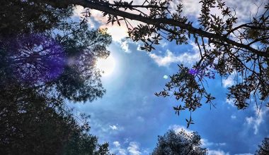 Αίθριος ο καιρός σήμερα με μικρή άνοδο της θερμοκρασίας – Η πρόγνωση για όλη τη χώρα