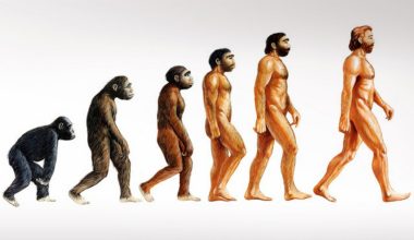 Ο λόγος που οι άνθρωποι έχασαν… το τρίχωμά τους